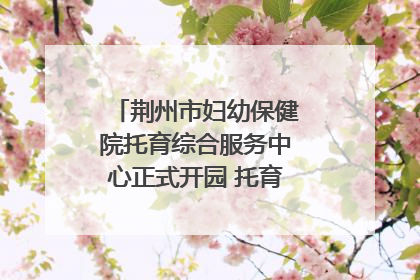 荆州市妇幼保健院托育综合服务中心正式开园 托育宣传月同步启动