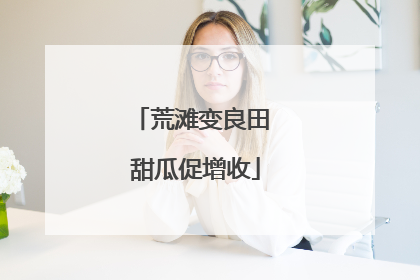 荒滩变良田 甜瓜促增收