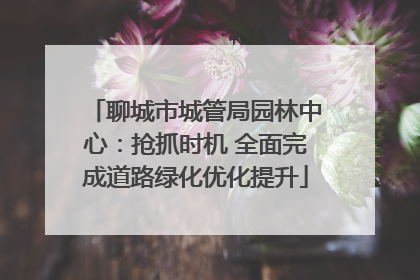 聊城市城管局园林中心：抢抓时机 全面完成道路绿化优化提升