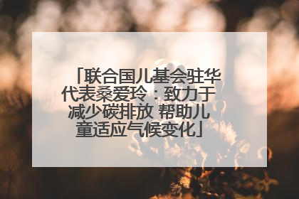 联合国儿基会驻华代表桑爱玲：致力于减少碳排放 帮助儿童适应气候变化
