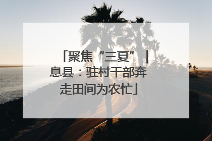 聚焦“三夏”｜息县：驻村干部奔走田间为农忙