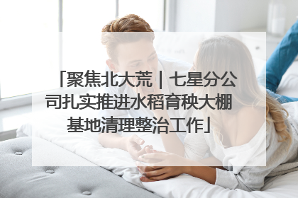 聚焦北大荒｜七星分公司扎实推进水稻育秧大棚基地清理整治工作