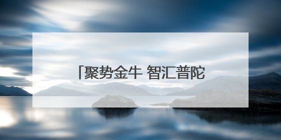 聚势金牛 智汇普陀〡“始发站”发力、“创新田”深耕，普陀科创“金牛”闪耀