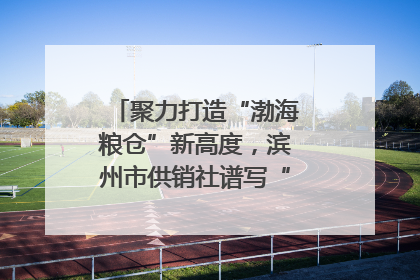 聚力打造“渤海粮仓”新高度，滨州市供销社谱写“三夏”丰收乐章