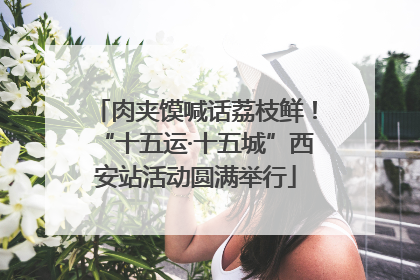 肉夹馍喊话荔枝鲜！“十五运·十五城”西安站活动圆满举行