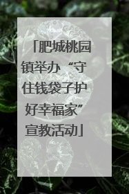 肥城桃园镇举办“守住钱袋子护好幸福家”宣教活动