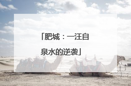 肥城：一汪自泉水的逆袭
