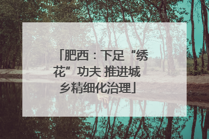 肥西：下足“绣花”功夫 推进城乡精细化治理