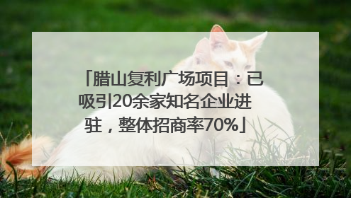 腊山复利广场项目：已吸引20余家知名企业进驻，整体招商率70%