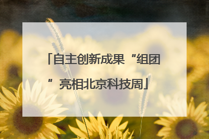 自主创新成果“组团”亮相北京科技周