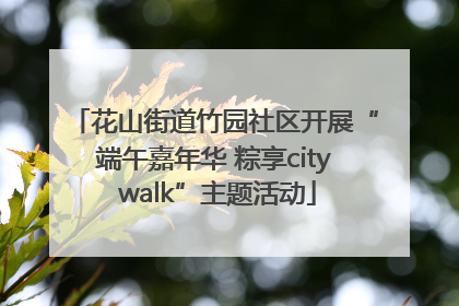 花山街道竹园社区开展“端午嘉年华 粽享city walk”主题活动