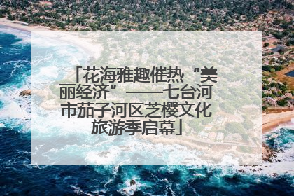 花海雅趣催热“美丽经济”——七台河市茄子河区芝樱文化旅游季启幕