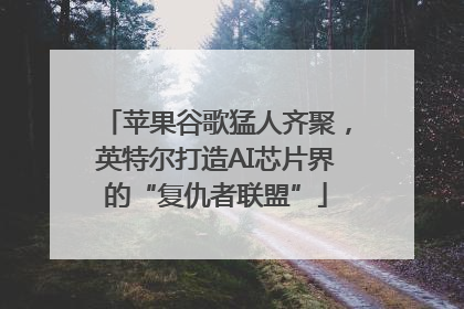 苹果谷歌猛人齐聚，英特尔打造AI芯片界的“复仇者联盟”