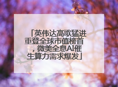 英伟达高歌猛进重登全球市值榜首，微美全息AI催生算力需求爆发