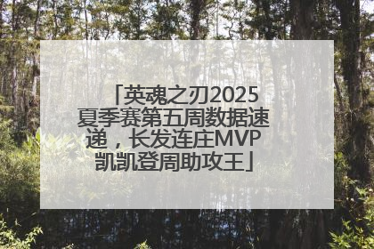 英魂之刃2025夏季赛第五周数据速递，长发连庄MVP凯凯登周助攻王