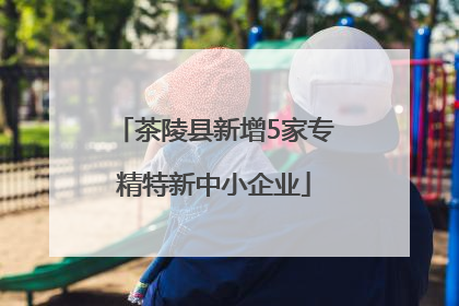 茶陵县新增5家专精特新中小企业