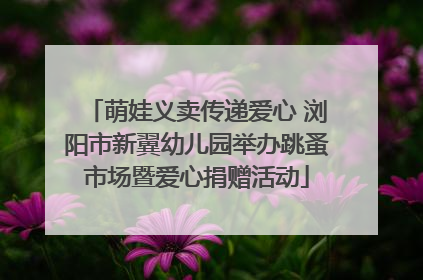 萌娃义卖传递爱心 浏阳市新翼幼儿园举办跳蚤市场暨爱心捐赠活动