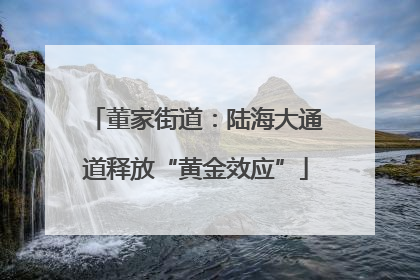 董家街道：陆海大通道释放“黄金效应”
