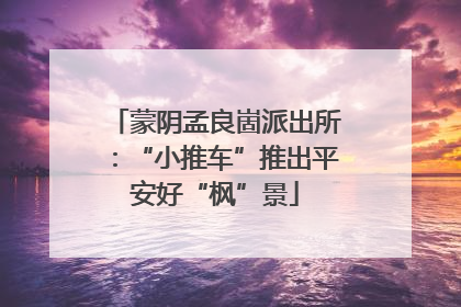 蒙阴孟良崮派出所：“小推车”推出平安好“枫”景