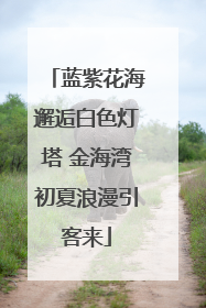 蓝紫花海邂逅白色灯塔 金海湾初夏浪漫引客来
