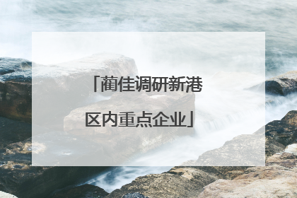 蔺佳调研新港区内重点企业