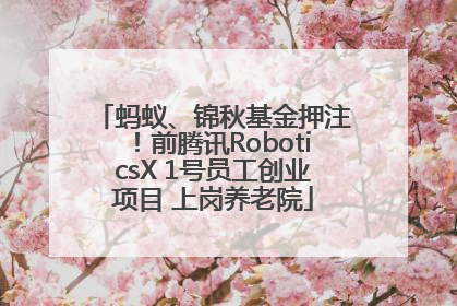 蚂蚁、锦秋基金押注！前腾讯RoboticsX 1号员工创业项目 上岗养老院