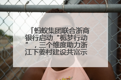 蚂蚁集团联合浙商银行启动“栀梦行动”，三个维度助力浙江下姜村建设共富示范区示范点