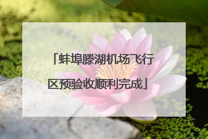 蚌埠滕湖机场飞行区预验收顺利完成