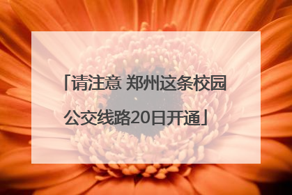 请注意 郑州这条校园公交线路20日开通