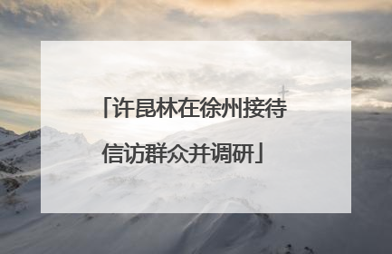 许昆林在徐州接待信访群众并调研