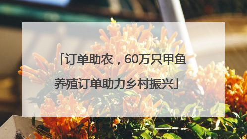订单助农，60万只甲鱼养殖订单助力乡村振兴