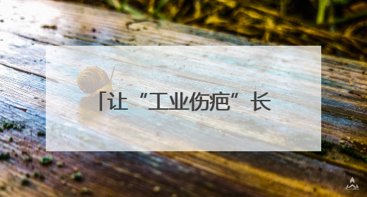 让“工业伤疤”长出春天——辽宁加快废弃矿山治理观察