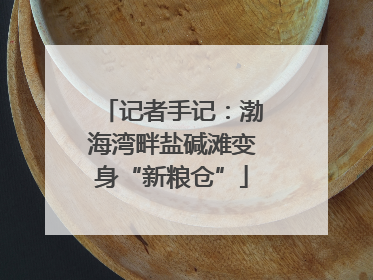 记者手记：渤海湾畔盐碱滩变身“新粮仓”