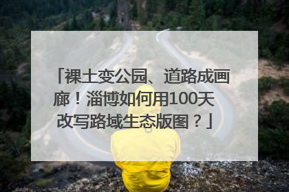 裸土变公园、道路成画廊！淄博如何用100天改写路域生态版图？