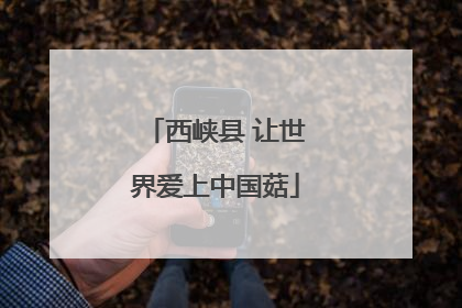 西峡县 让世界爱上中国菇