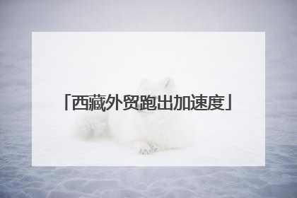 西藏外贸跑出加速度