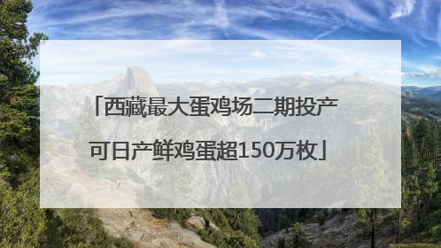 西藏最大蛋鸡场二期投产 可日产鲜鸡蛋超150万枚