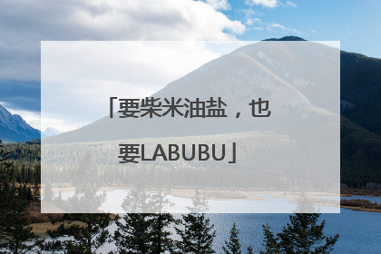 要柴米油盐，也要LABUBU