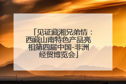 见证藏湘兄弟情：西藏山南特色产品亮相第四届中国-非洲经贸博览会