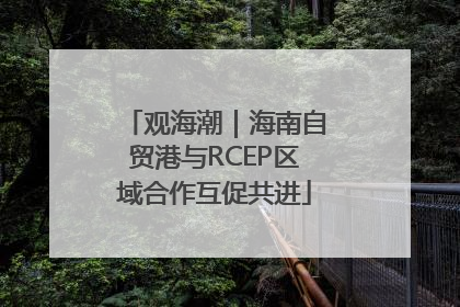 观海潮｜海南自贸港与RCEP区域合作互促共进