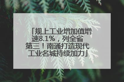 规上工业增加值增速8.1%，列全省第三！南通打造现代工业名城持续加力