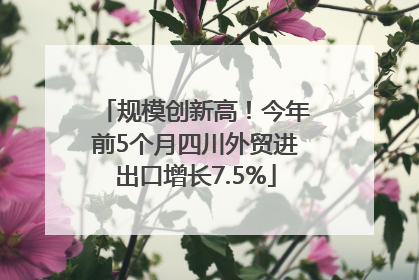 规模创新高！今年前5个月四川外贸进出口增长7.5%