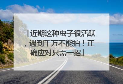 近期这种虫子很活跃，遇到千万不能拍！正确应对只需一招