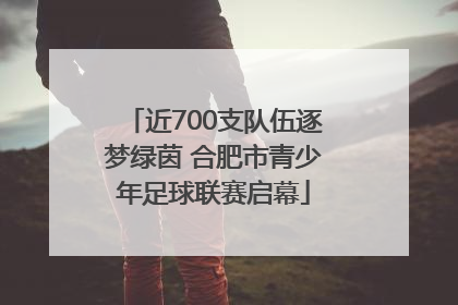 近700支队伍逐梦绿茵 合肥市青少年足球联赛启幕