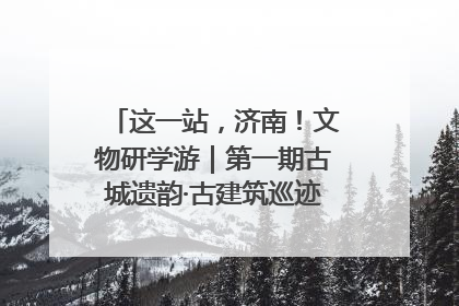 这一站，济南！文物研学游｜第一期古城遗韵·古建筑巡迹之旅圆满结束