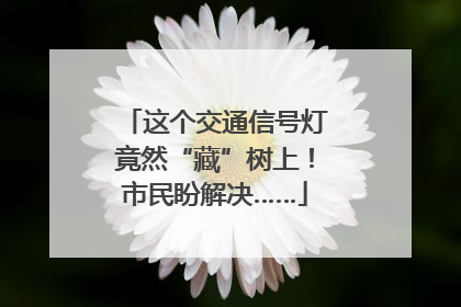 这个交通信号灯竟然“藏”树上！市民盼解决……