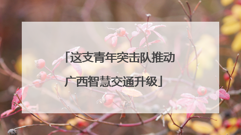 这支青年突击队推动广西智慧交通升级