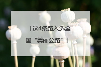这4条路入选全国“美丽公路”
