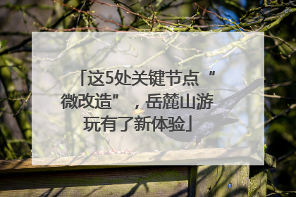 这5处关键节点“微改造”，岳麓山游玩有了新体验