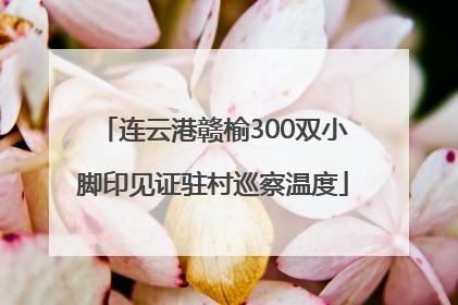 连云港赣榆300双小脚印见证驻村巡察温度